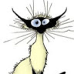 Meet your Posher, Barbara